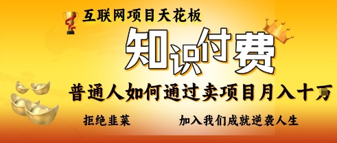 互联网项目天花板，知付付费项目，普通人如何通过卖项目月入十个，拒绝韭菜【揭秘】-轻创终点站