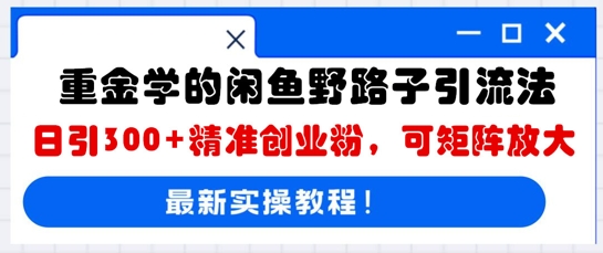 重金学的闲鱼野路子引流法，日引300+精准创业粉，可矩阵放大-轻创终点站